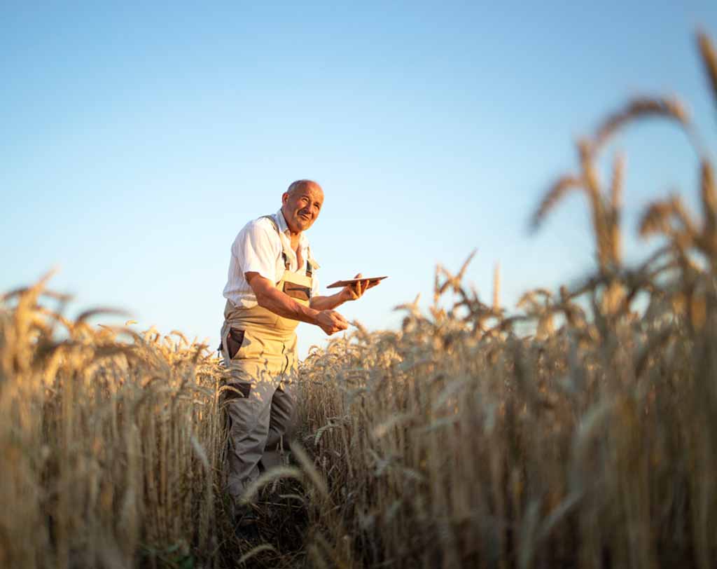 agricultural analytics