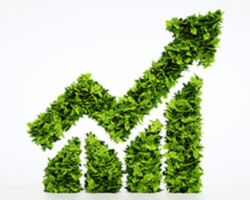 Crescita organica dell'azienda