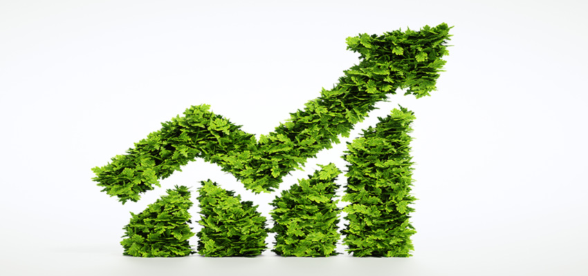 Organic company growth