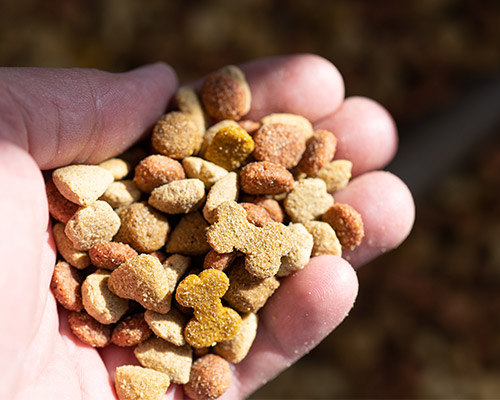 Analytics of food concentrates
