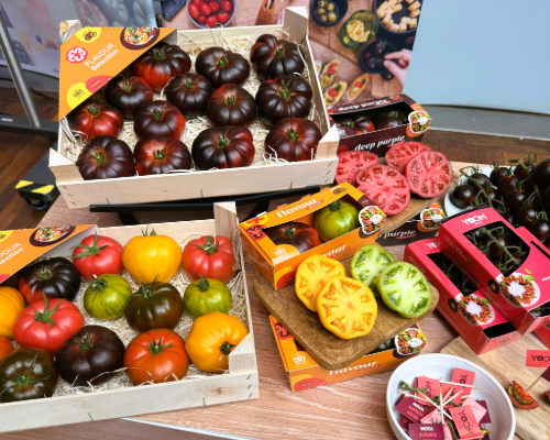 Fruit