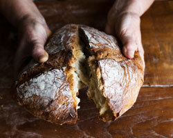 fresh bread