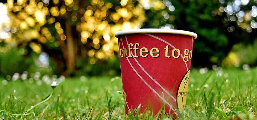 Coffe 2 Go Cup