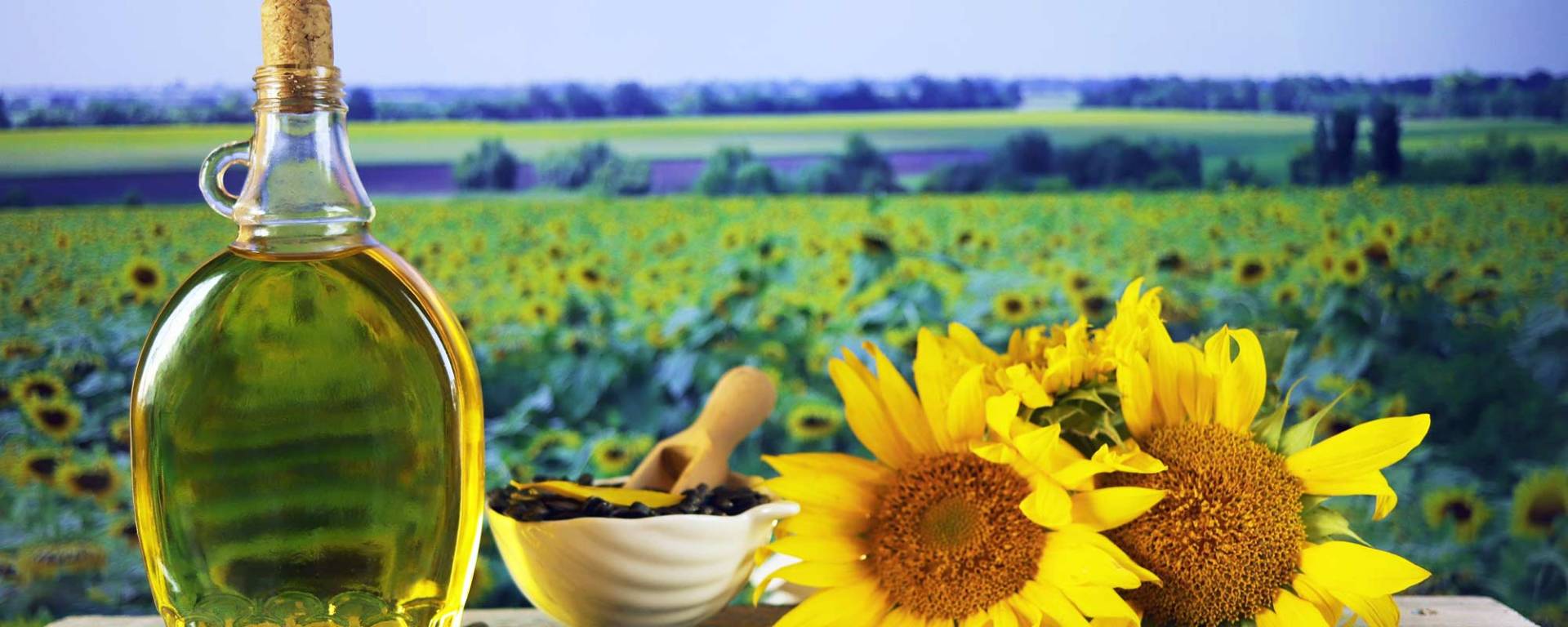 Fats, Oils and Oilseeds
